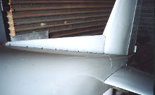 Dorsal fin